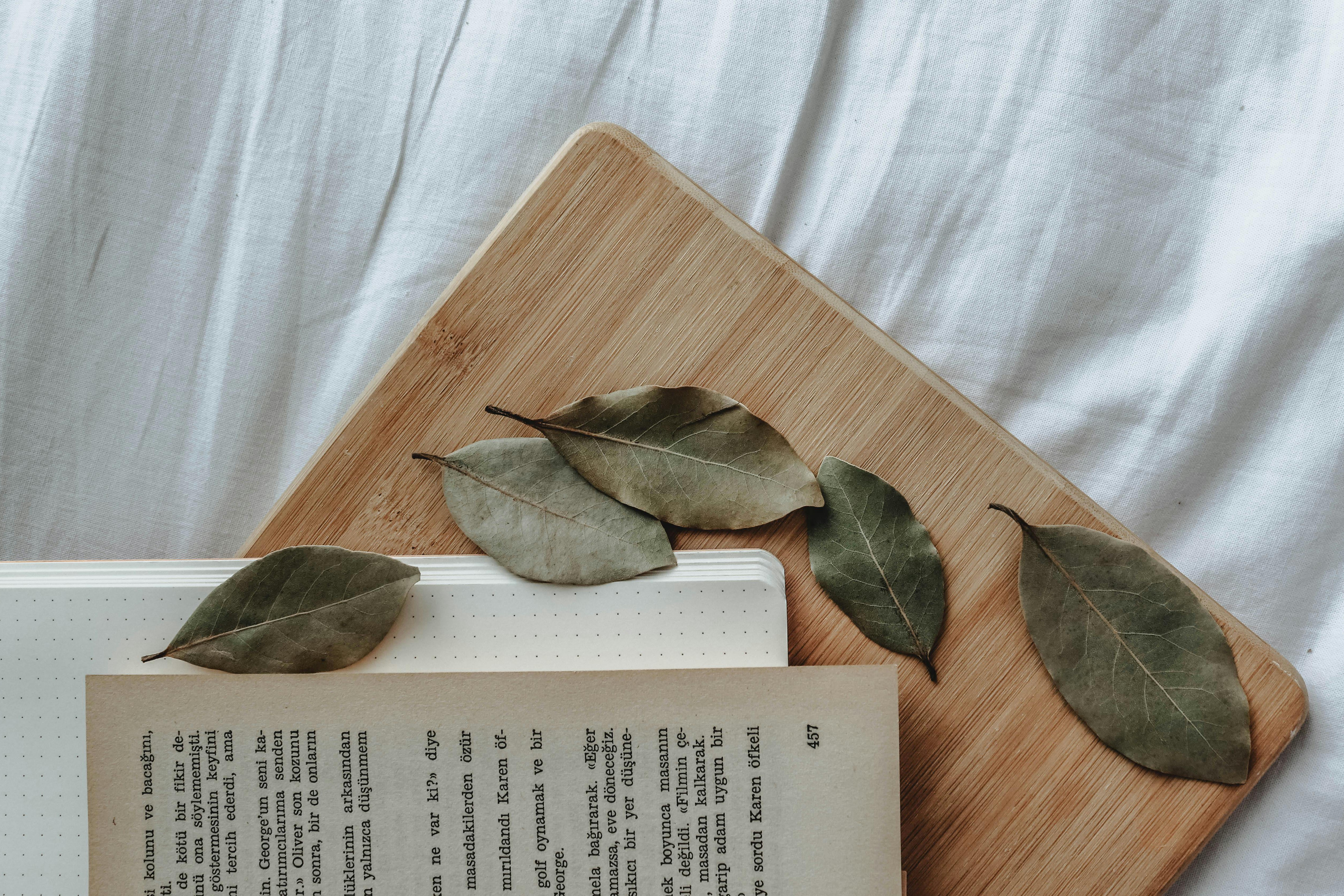 bay leaves in a wooden bowl